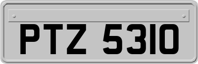 PTZ5310