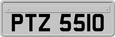 PTZ5510