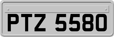 PTZ5580