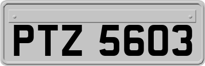 PTZ5603