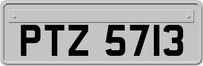 PTZ5713