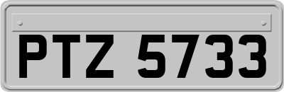 PTZ5733