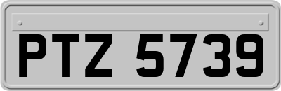 PTZ5739