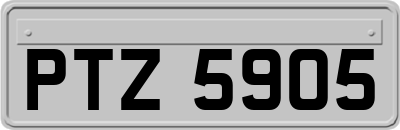 PTZ5905