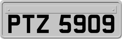 PTZ5909