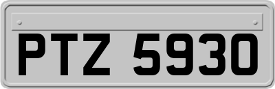 PTZ5930