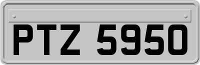 PTZ5950