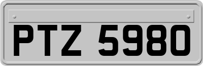 PTZ5980