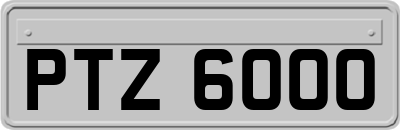 PTZ6000