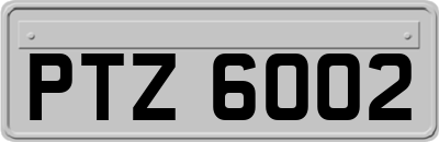 PTZ6002