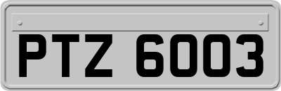 PTZ6003