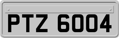 PTZ6004