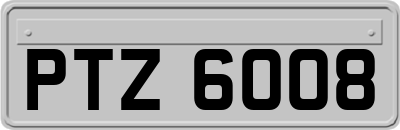 PTZ6008