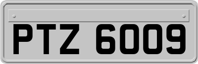 PTZ6009