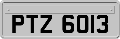 PTZ6013