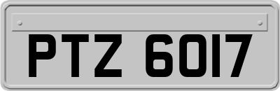 PTZ6017