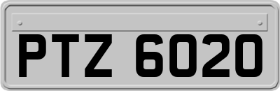 PTZ6020