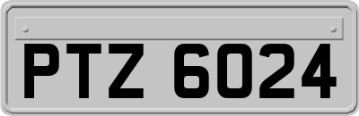 PTZ6024