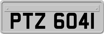 PTZ6041