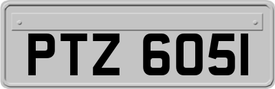 PTZ6051