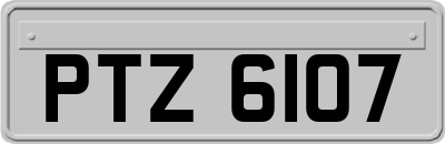 PTZ6107