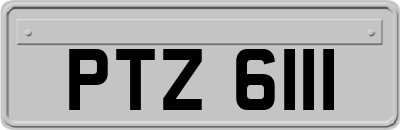 PTZ6111