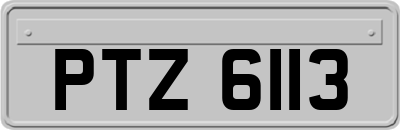 PTZ6113