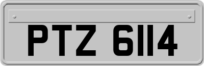 PTZ6114