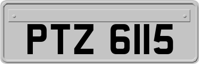 PTZ6115