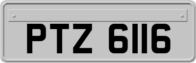 PTZ6116