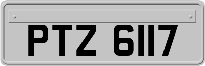 PTZ6117