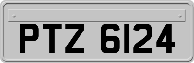 PTZ6124