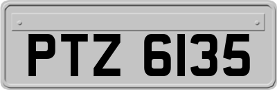 PTZ6135