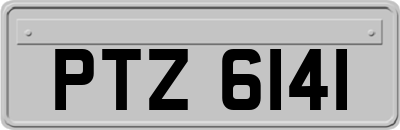 PTZ6141