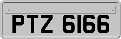 PTZ6166