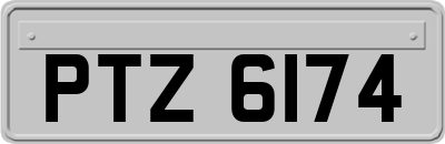 PTZ6174