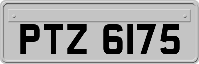 PTZ6175