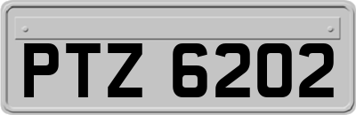 PTZ6202