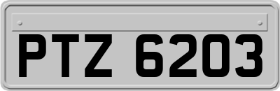 PTZ6203