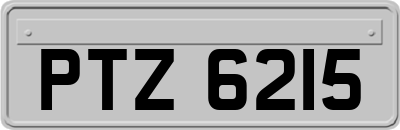 PTZ6215