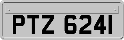 PTZ6241