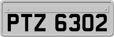 PTZ6302