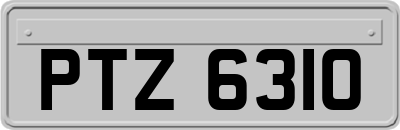 PTZ6310