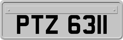 PTZ6311