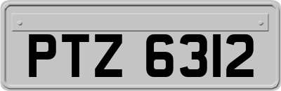 PTZ6312