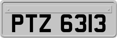 PTZ6313