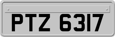 PTZ6317