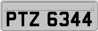 PTZ6344