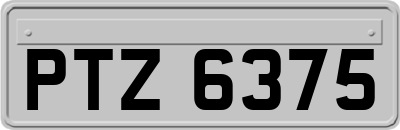 PTZ6375