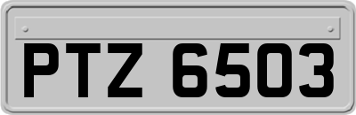 PTZ6503